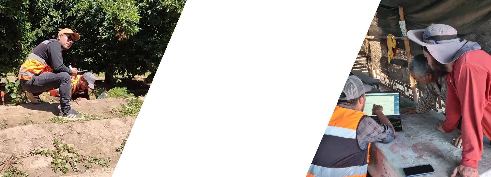 Campo agrícola tecnológico - Fondo Agrosens